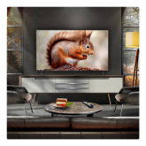 LG OLED55B56LA.AEK OLED AI B5 55" 4K OLED Smart TV