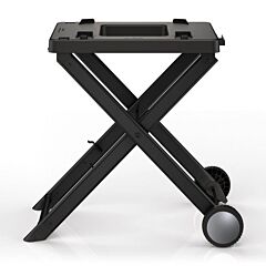 Ninja XSKGRLLSTDE Stand For Woodfire Bbq