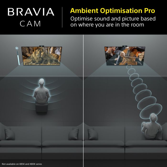 Sony CMUBC1_CE7 Bravia Web Cam