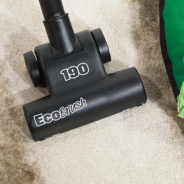 Naumatic International 906766 Henry Pet Vacuum Cleaner - Green